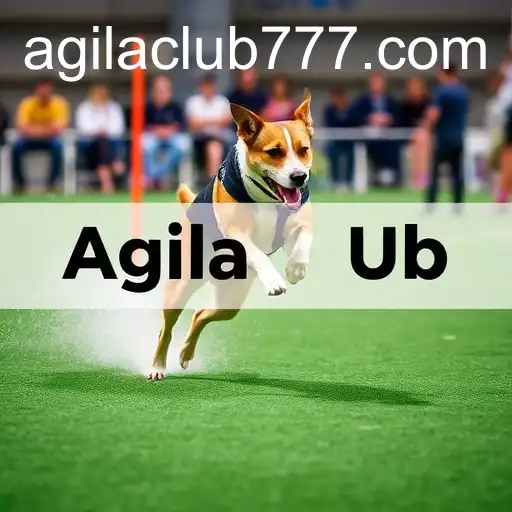 Discovering the World of Agilaclub: The Ultimate Guide to Getting In Touch